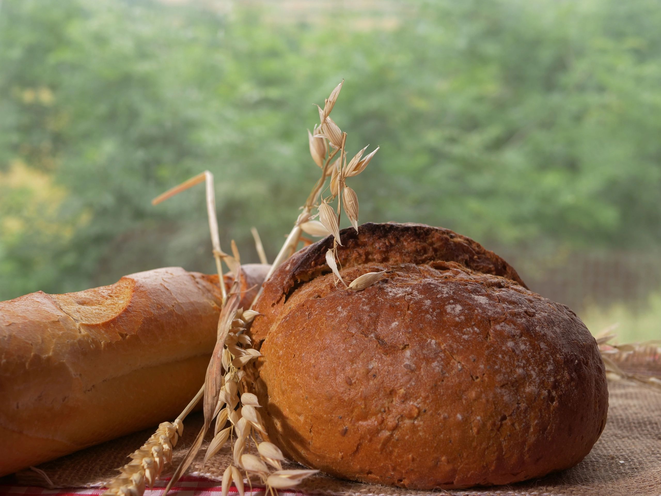 Selection of rustic breads on a kitchen table